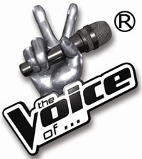 the Voice